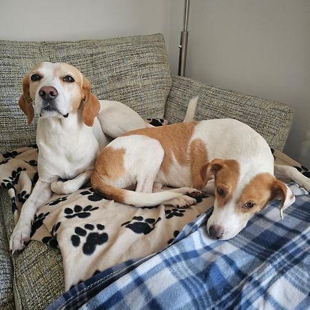 Double Bedroom Located Close To Manchester Airport ウィゼンショー エクステリア 写真